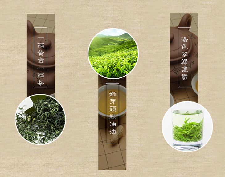 保靖黄金茶2016年明前新茶湖南湘西春茶有机手工绿茶