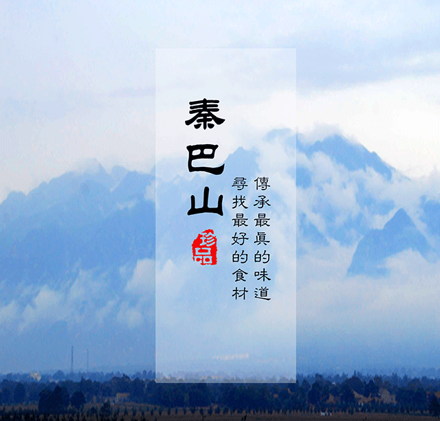 秦巴山土鸡|商洛山区 林下散养