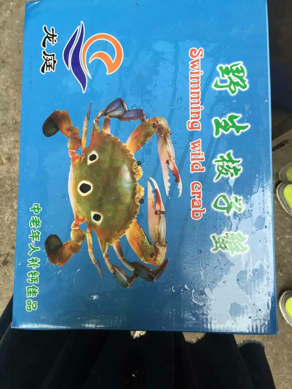野生梭子蟹