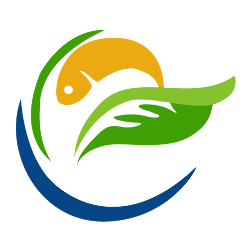 潮市场171104200511