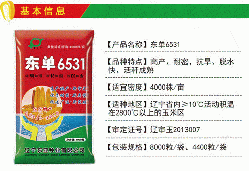 王牌玉米种子东单6531 高产稳产优质抗逆耐密高适