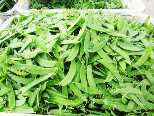 食达好同城配 菜豌豆