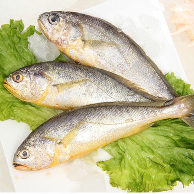 冰鲜黄花鱼【单位:500g】