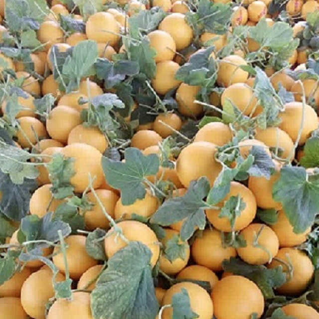 ú/
