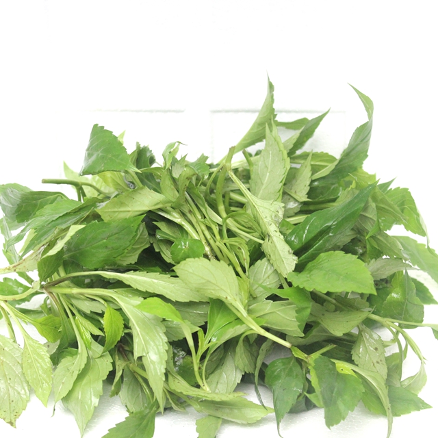 苦菜(野菜)