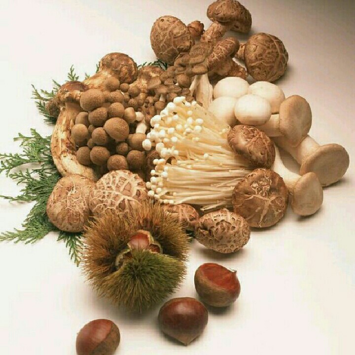 百康果蔬肉类配送中心200429