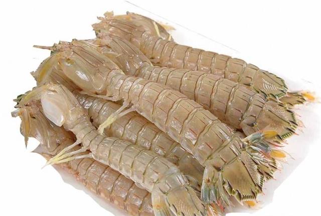皮皮虾 