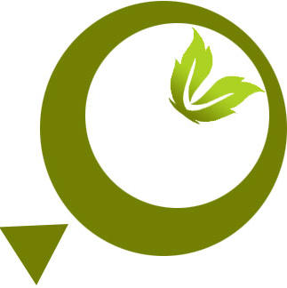 邯郸批菜网161121