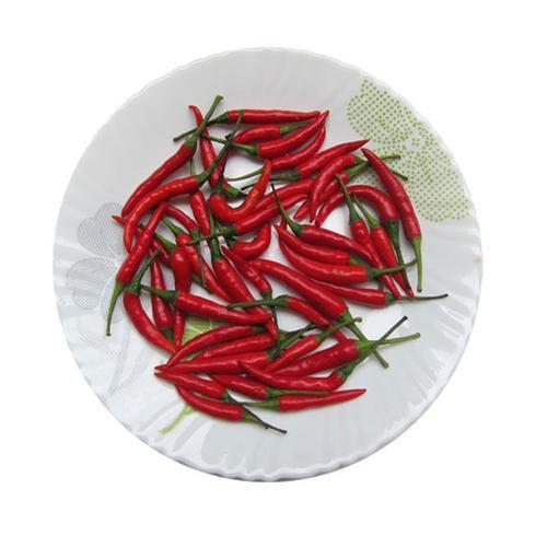 С콷 Լ120