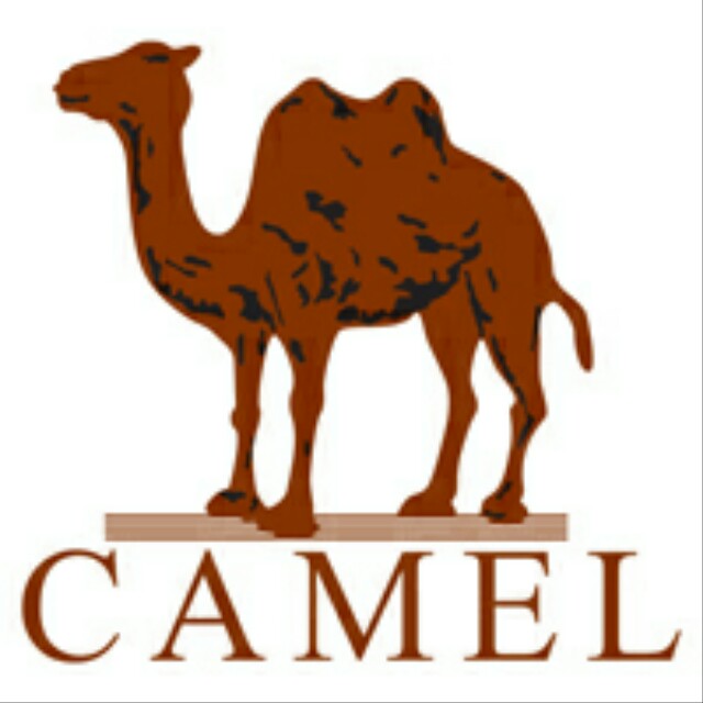 camel.骆驼