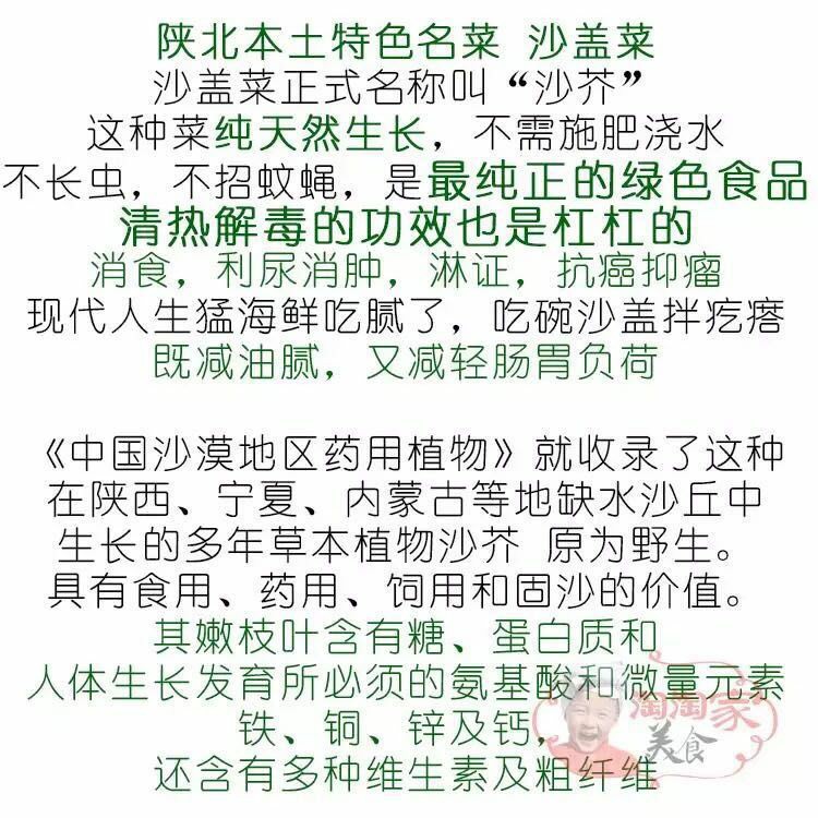 【城市骆驼】城市骆驼毛乌素沙漠纯天然沙盖菜
