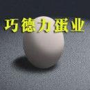 巧德力蛋业200509