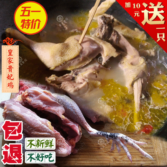 散养孕妇鸡2年贵妃月子散养土鸡v孕妇食品农家鸭肉鸡肉鲜嫩无比苏州母鸡多少钱一斤图片