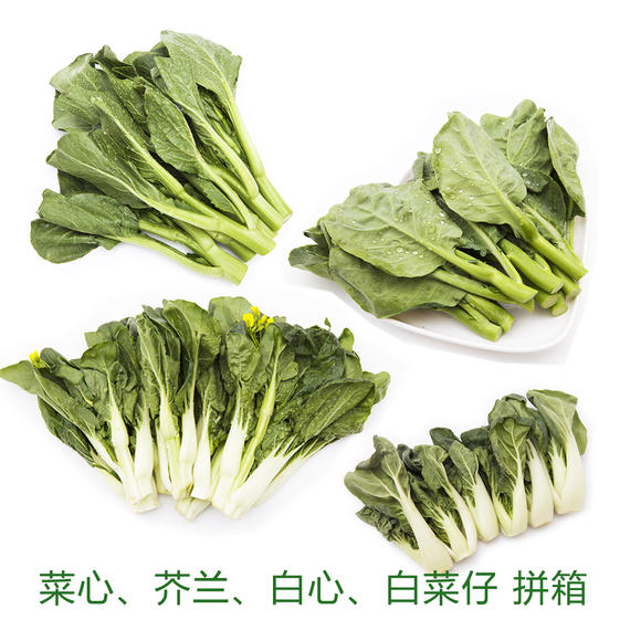 悦丰供港鲜蔬拼箱(宁夏菜心,芥兰,白心,白菜仔)