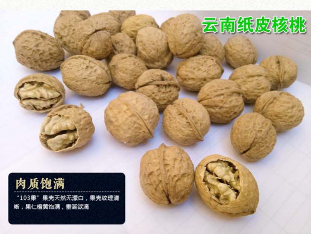 新疆溥壳核桃/云南纸皮核桃500g 寿星果坚果孕妇必备