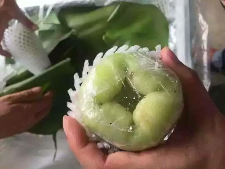 【二十世纪莲雾】青绿色莲雾俗称二十世纪莲雾!易落果