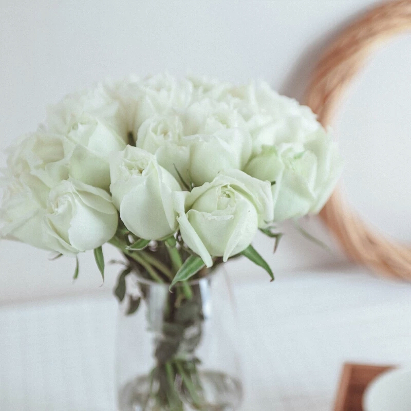 520玫瑰花束a类白玫瑰鲜花义乌市区免费配送情人节表白送花送女友