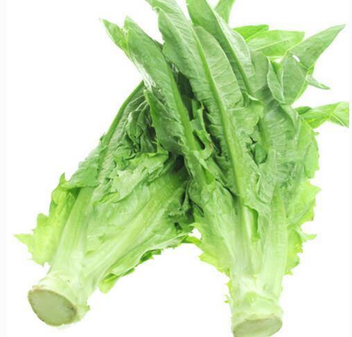 油麦菜的营养价值比生菜高,更远远优于莴笋,要特点是矿物质丰富.