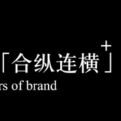 合纵连横品牌行销机构200509