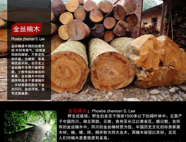 大叶金丝楠木四角香炉 - 超越百年
