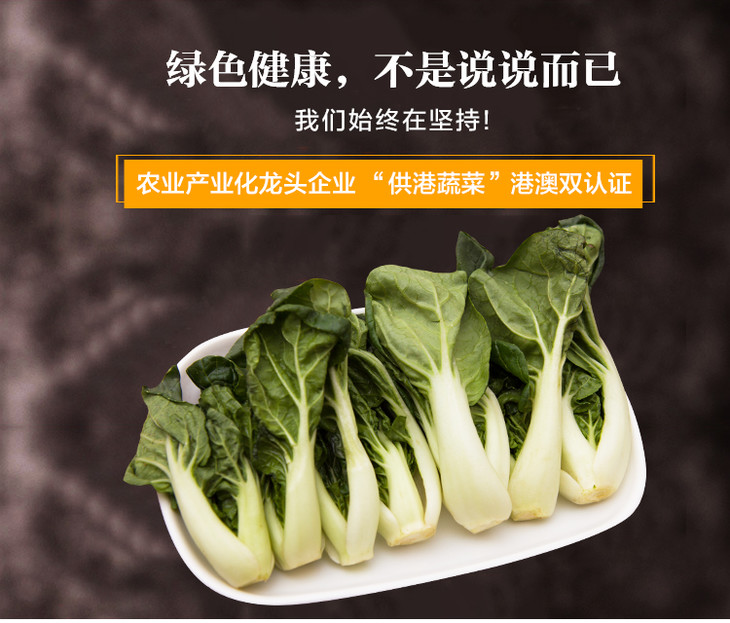 宁夏菜心白菜仔套餐 共3斤装