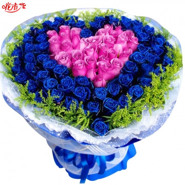 一生挚爱|花市网|99朵玫瑰花束,蓝色妖姬,紫玫瑰混搭心型,加拿大黄莺