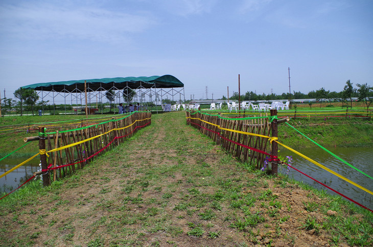 30平家庭农场1年使用权,用于蔬菜种植