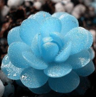 静默如初  随缘小筑170419