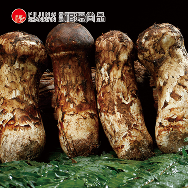 新鲜野生松茸上市!舌尖上的美味!珍贵野生菌尝鲜 1kg