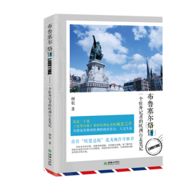 37531布鲁塞尔烙饼:一个驻外记者的欧洲行走笔记 光明日报记者何农著 异域游记散文