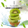 新西兰佳沛绿奇异果（6颗装） 商品缩略图1