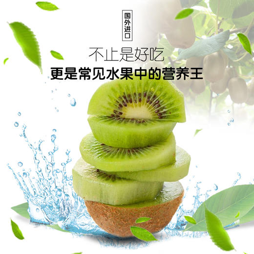 新西兰佳沛绿奇异果（6颗装） 商品图1