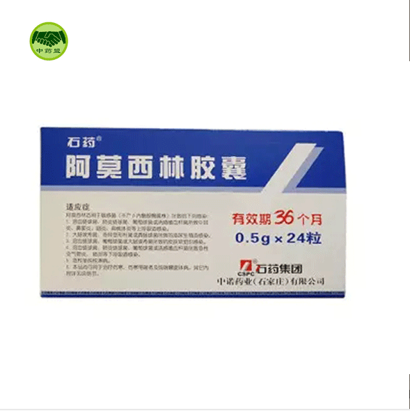 【石药】 阿莫西林胶囊 0.5g*24粒/盒