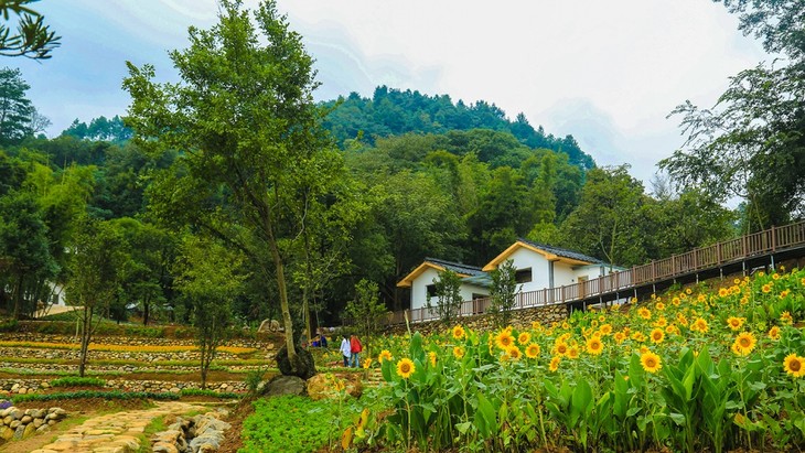 独家l江西大余丫山,花海客栈,水上乐园,乡村体验,带孩子做一个盛夏的