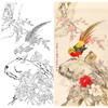 竖幅工笔花鸟白描底稿-牡丹锦鸡-A035 商品缩略图0