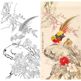 竖幅工笔花鸟白描底稿-牡丹锦鸡-A035