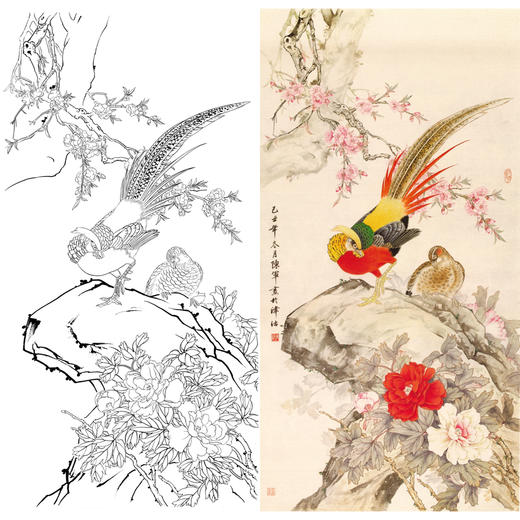 竖幅工笔花鸟白描底稿-牡丹锦鸡-A035 商品图0