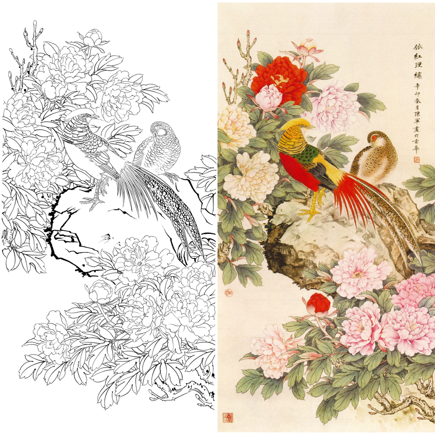 竖幅工笔花鸟白描底稿-牡丹锦鸡-A022