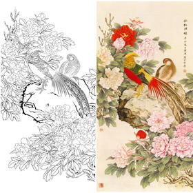 竖幅工笔花鸟白描底稿-牡丹锦鸡-A022