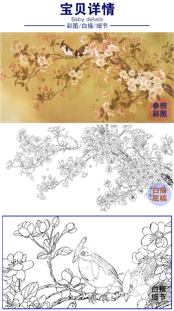 白描底稿-周中耀工笔横幅四尺六尺花鸟-a064