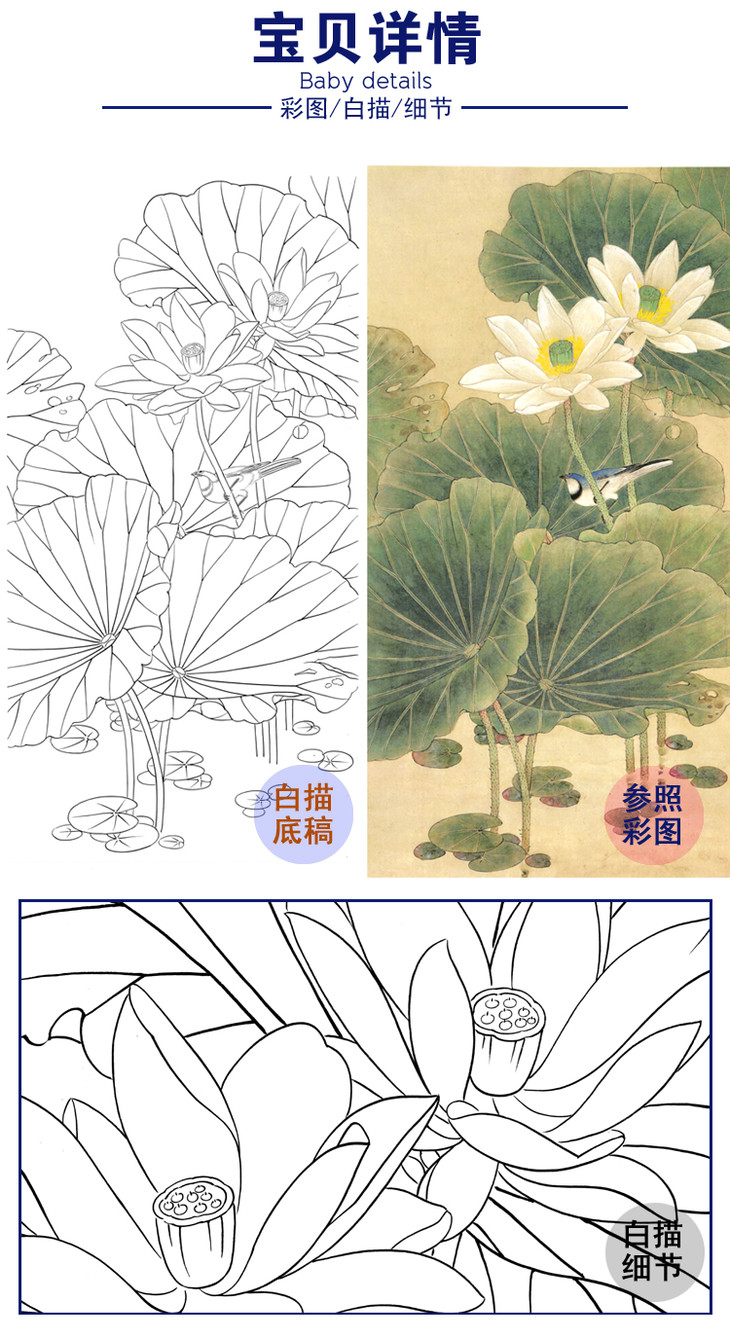 白描底稿-工笔竖幅四尺六尺花鸟-荷花-a115