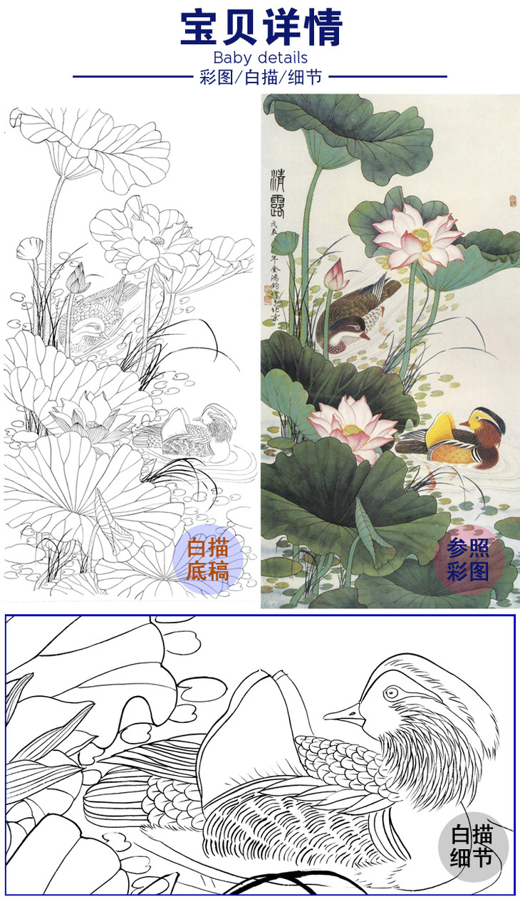 白描底稿-金鸿钧工笔竖幅四尺六尺花鸟-荷花鸳鸯-a083