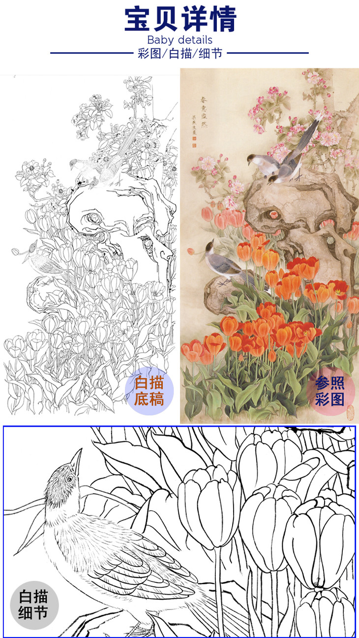 白描底稿-梁燕生工笔竖幅花鸟-喜鹊郁金香-春意盎然-a011