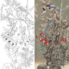 竖幅工笔花鸟白描底稿-山茶花喜鹊-A120 商品缩略图0