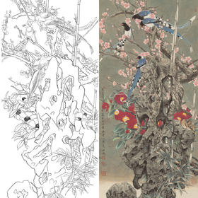 竖幅工笔花鸟白描底稿-山茶花喜鹊-A120