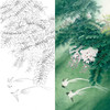 竖幅工笔花鸟白描底稿-紫藤绶带-李晓明-A132 商品缩略图0
