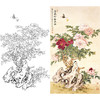 竖幅工笔花鸟白描底稿-俞致贞-牡丹《花长好春长在》-多种白描尺寸可选-A088 商品缩略图0
