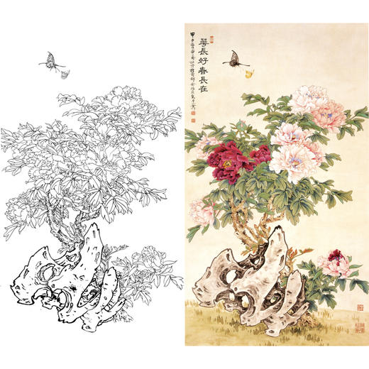 竖幅工笔花鸟白描底稿-俞致贞-牡丹《花长好春长在》-多种白描尺寸可选-A088 商品图0