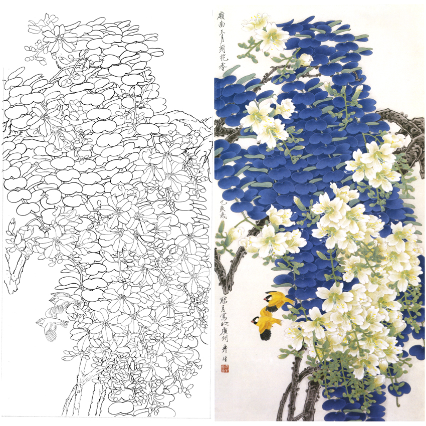 白描底稿-周彦生工笔竖幅四尺六尺花鸟-紫荆花-《比翼》-多种白描尺寸