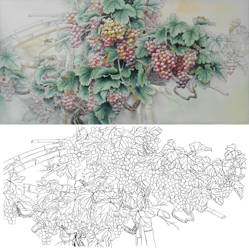 白描底稿-工笔花鸟-葡萄蝈蝈-a066